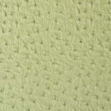 Nu-Ostrich Lime Vinyl for Sale!