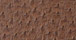 Nu-Ostrich Sable Faux Ostrich Leather
